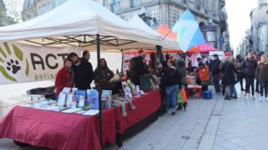 Marché de Noël – Journée pour les animaux
