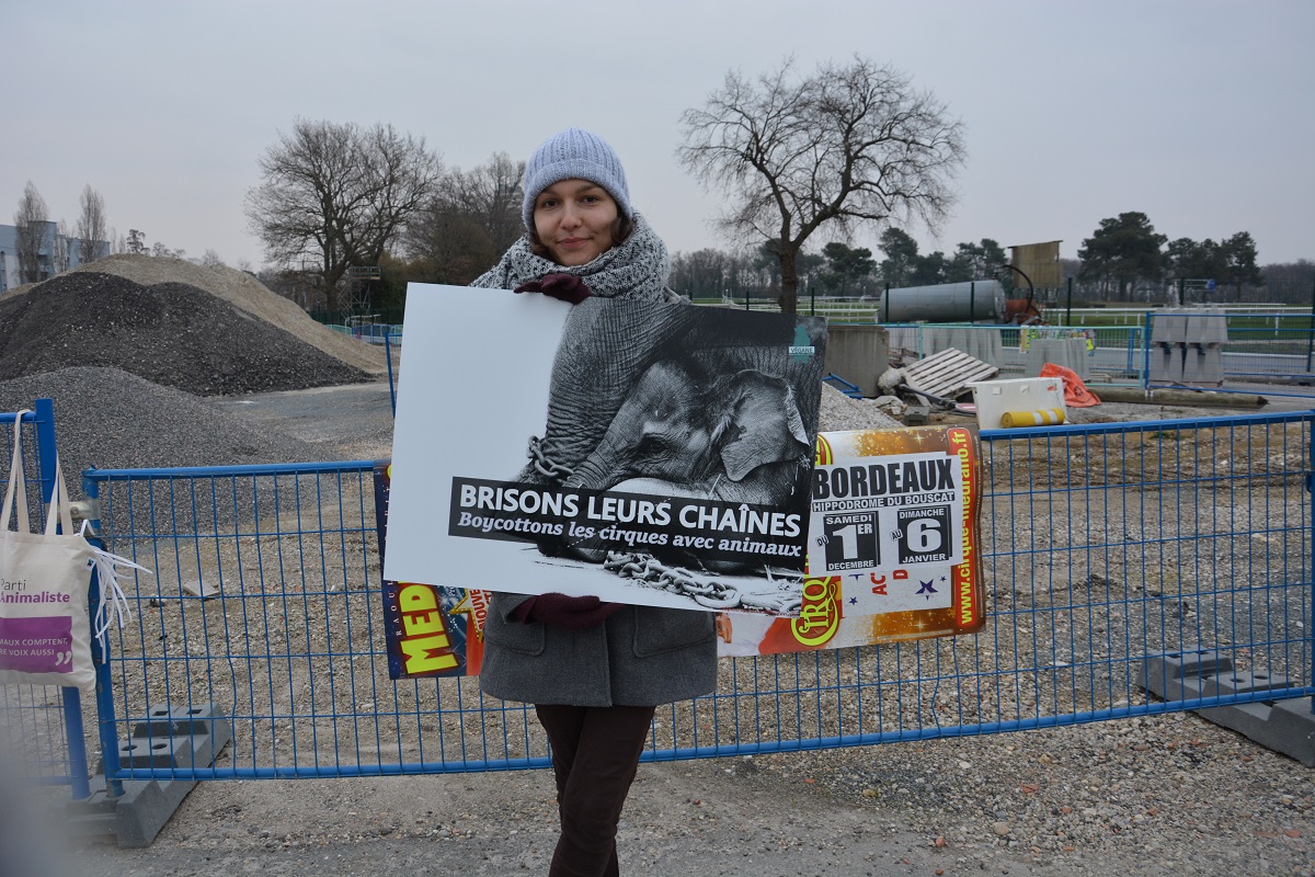panneaux_1_médrano_acta_janvier_2019