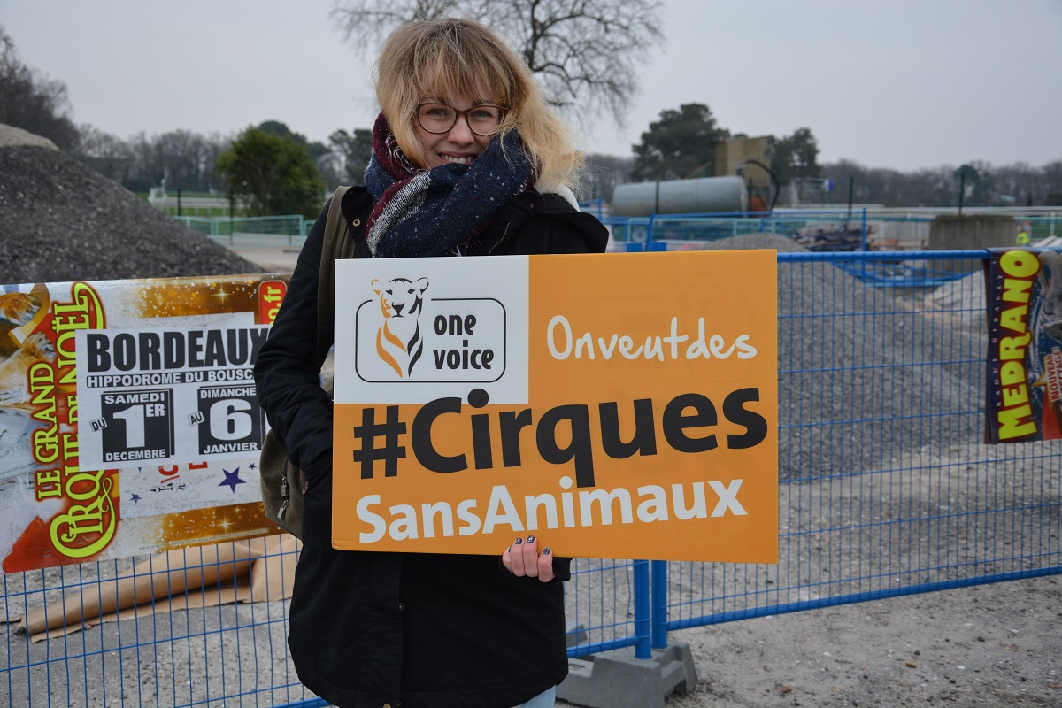 panneaux_2_médrano_acta_janvier_2019