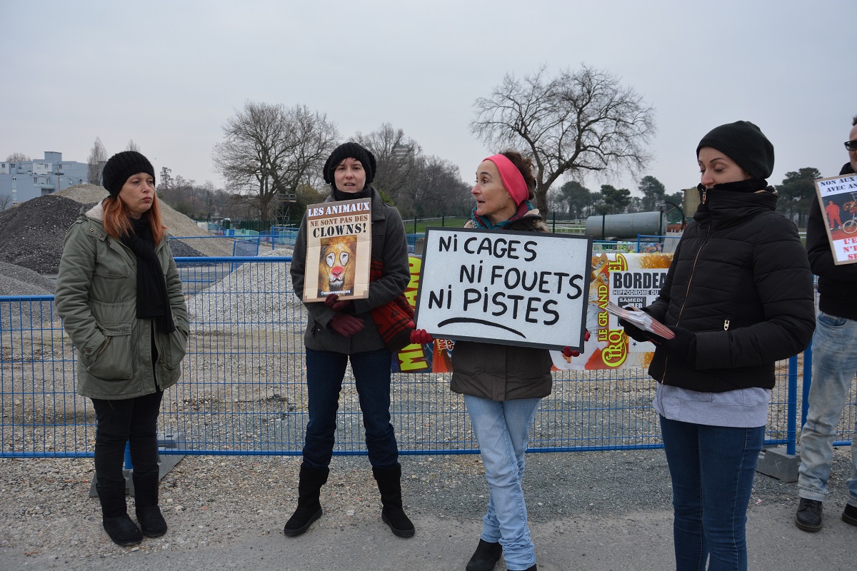 panneaux_4_médrano_acta_janvier_2019