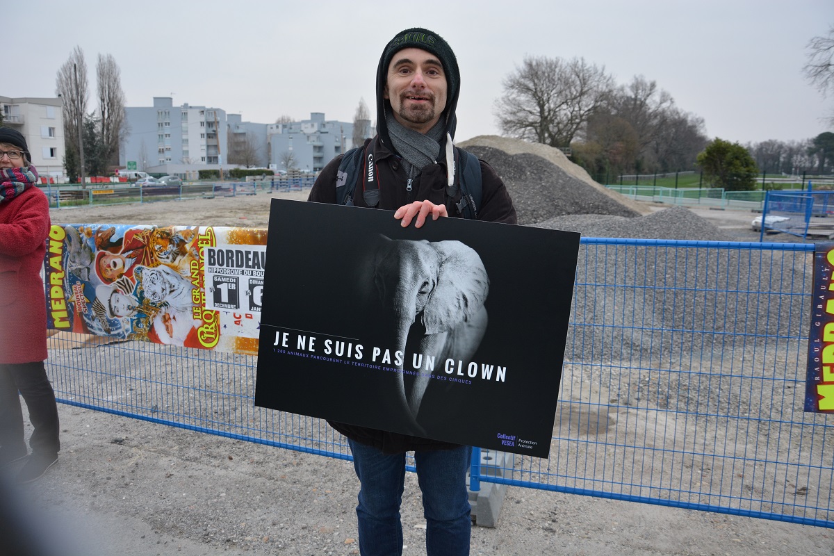 panneaux_5_médrano_acta_janvier_2019