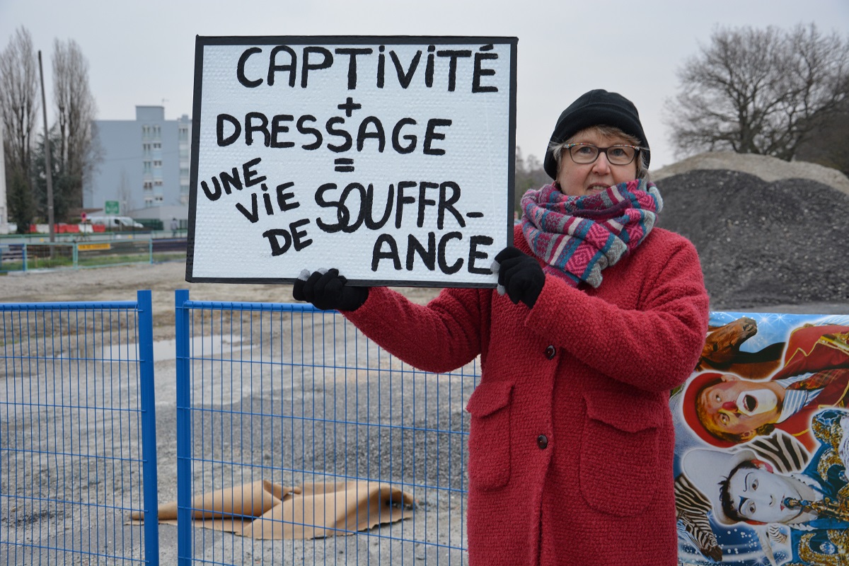 panneaux_6_médrano_acta_janvier_2019