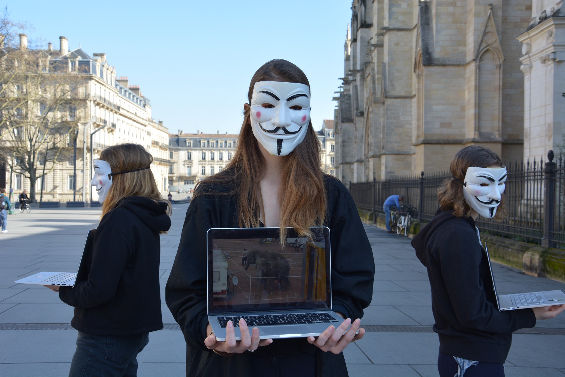 manifestation_mairie_bordeaux_animaux_cirques_cube