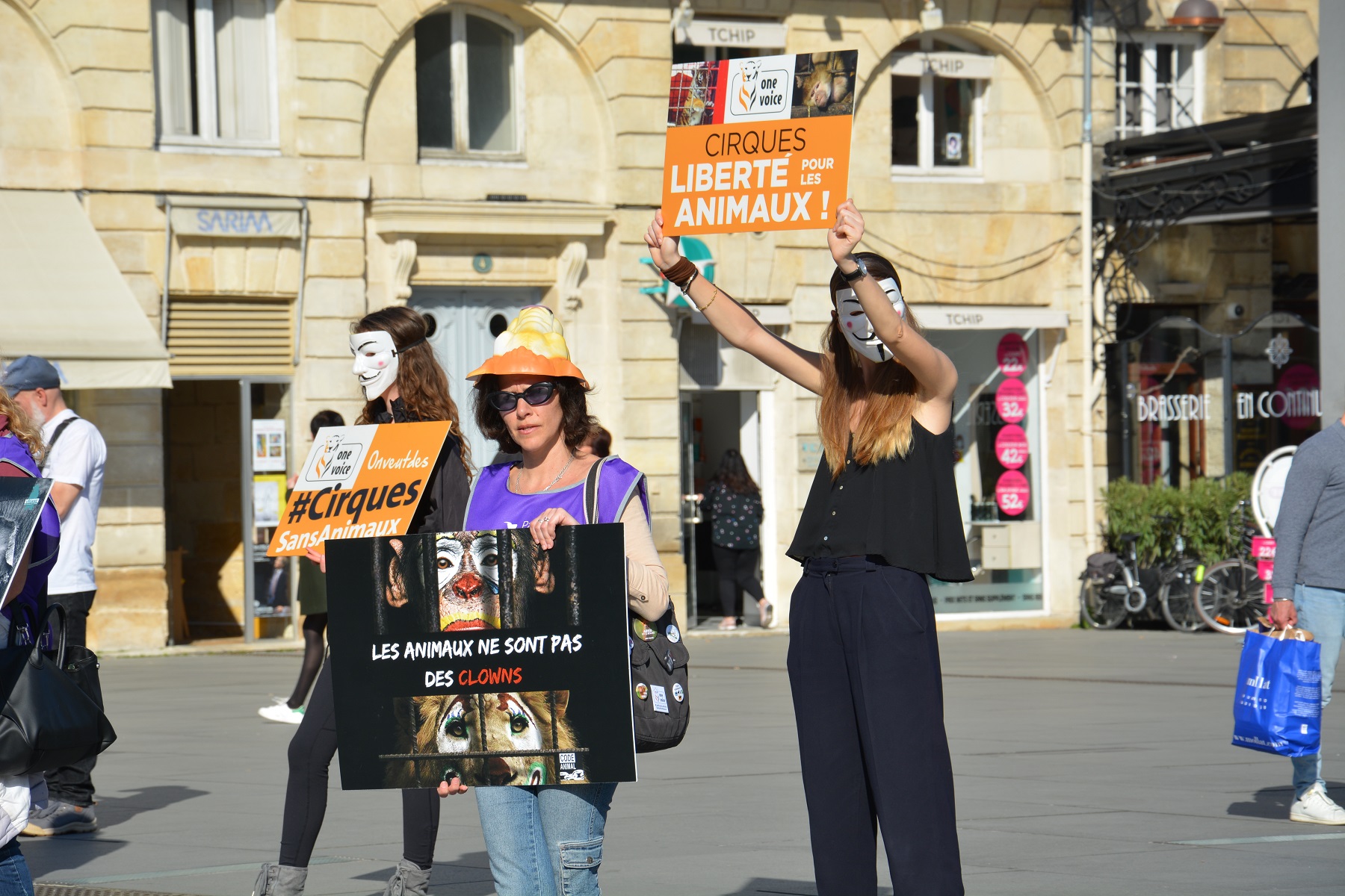 manifestation_mairie_bordeaux_animaux_cirques_triangle2