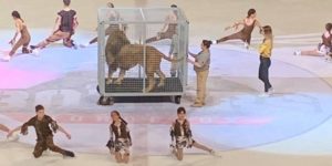Des manchots sur le bitume et un lion sur la glace…