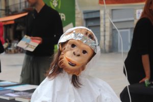 Compte-rendu du « Cube of Truth » élevage et expérimentation, le dimanche 26 mai 2019
