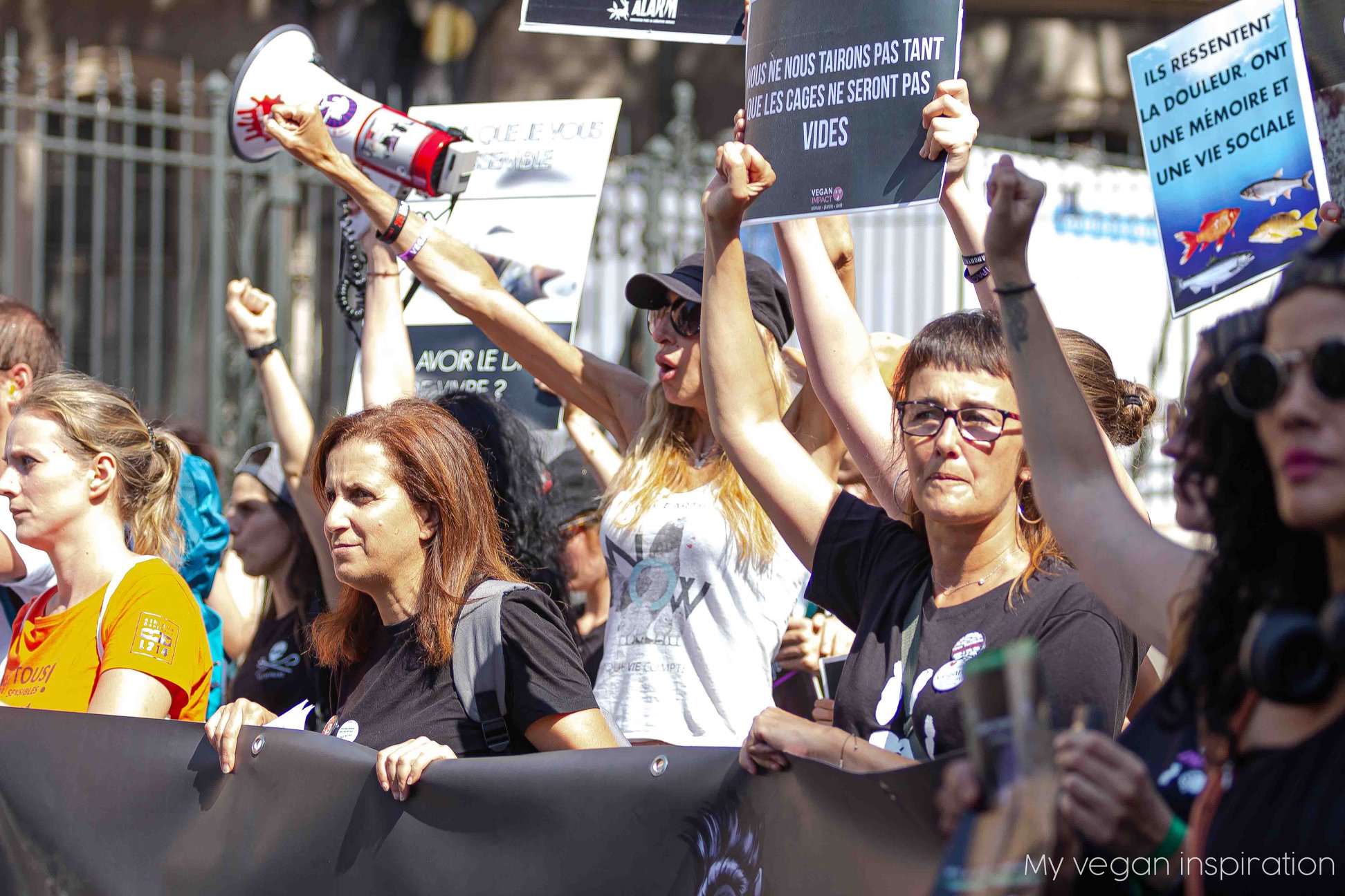 jmfs_marseille_cortege3