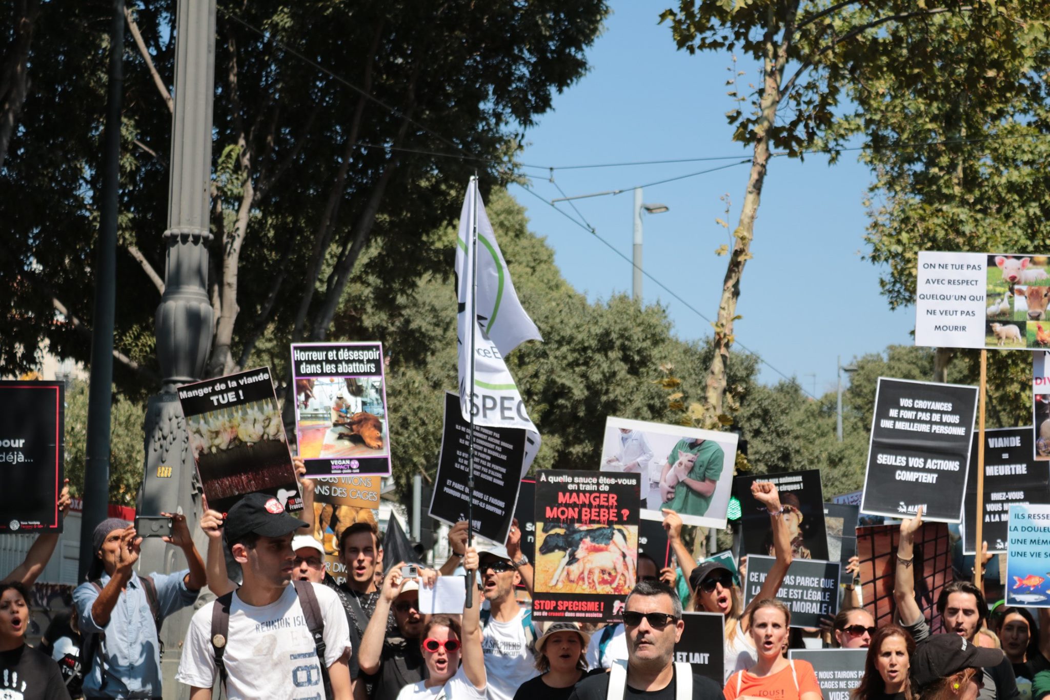 jmfs_marseille_cortege4