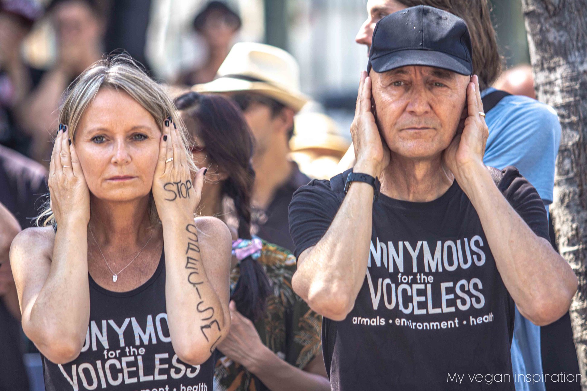 jmfs_marseille_singes