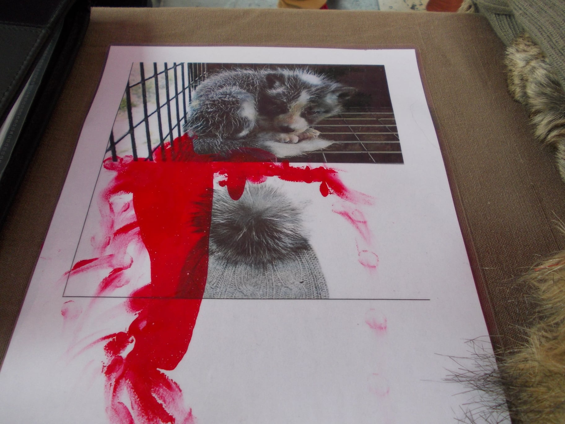 parti_animaliste_fourrure_bordeaux_2019_infos1