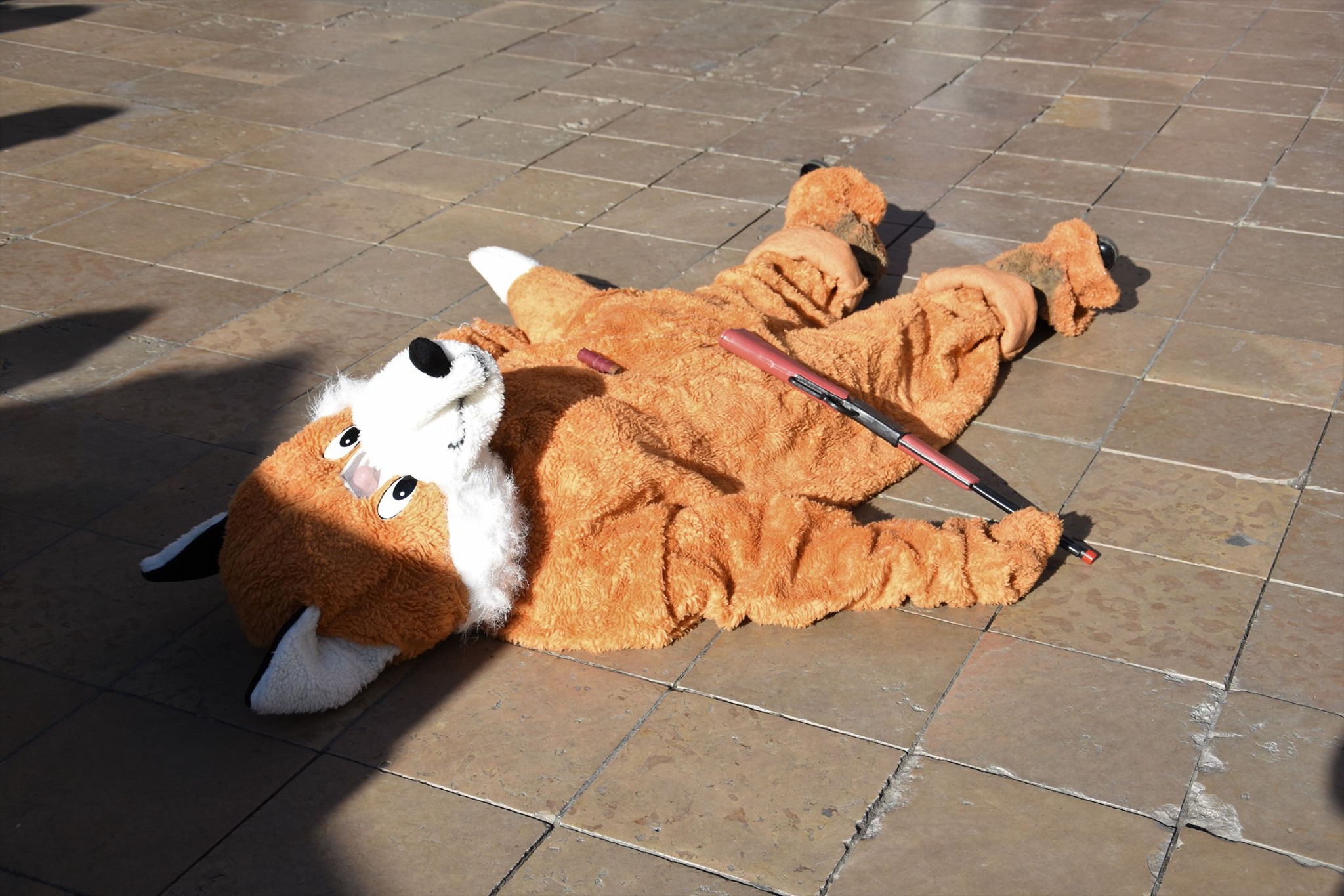 manifestation_chasse_parti_animaliste_2020_animation