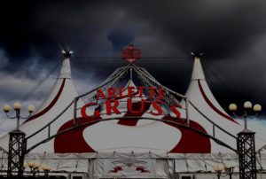 acta_2019_gruss_1b