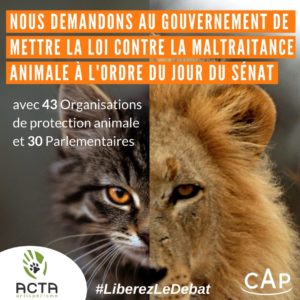 ACTA · Bilan 2021