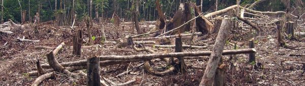 Amazon_slash_and_burn_agriculture_Colombia_South_America Amazon_slash_and_burn_agriculture_Colombia_South_America