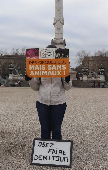 acta_gruss_bordeaux_2020_panneau4