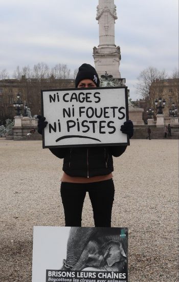 acta_gruss_bordeaux_2020_panneau5