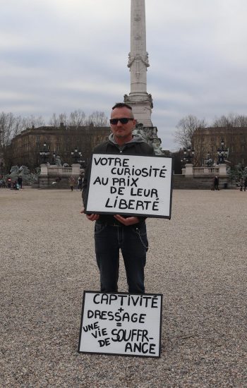 acta_gruss_bordeaux_2020_panneau6