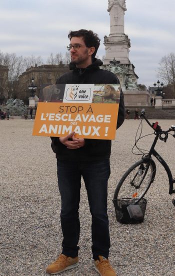 acta_gruss_bordeaux_2020_panneau7
